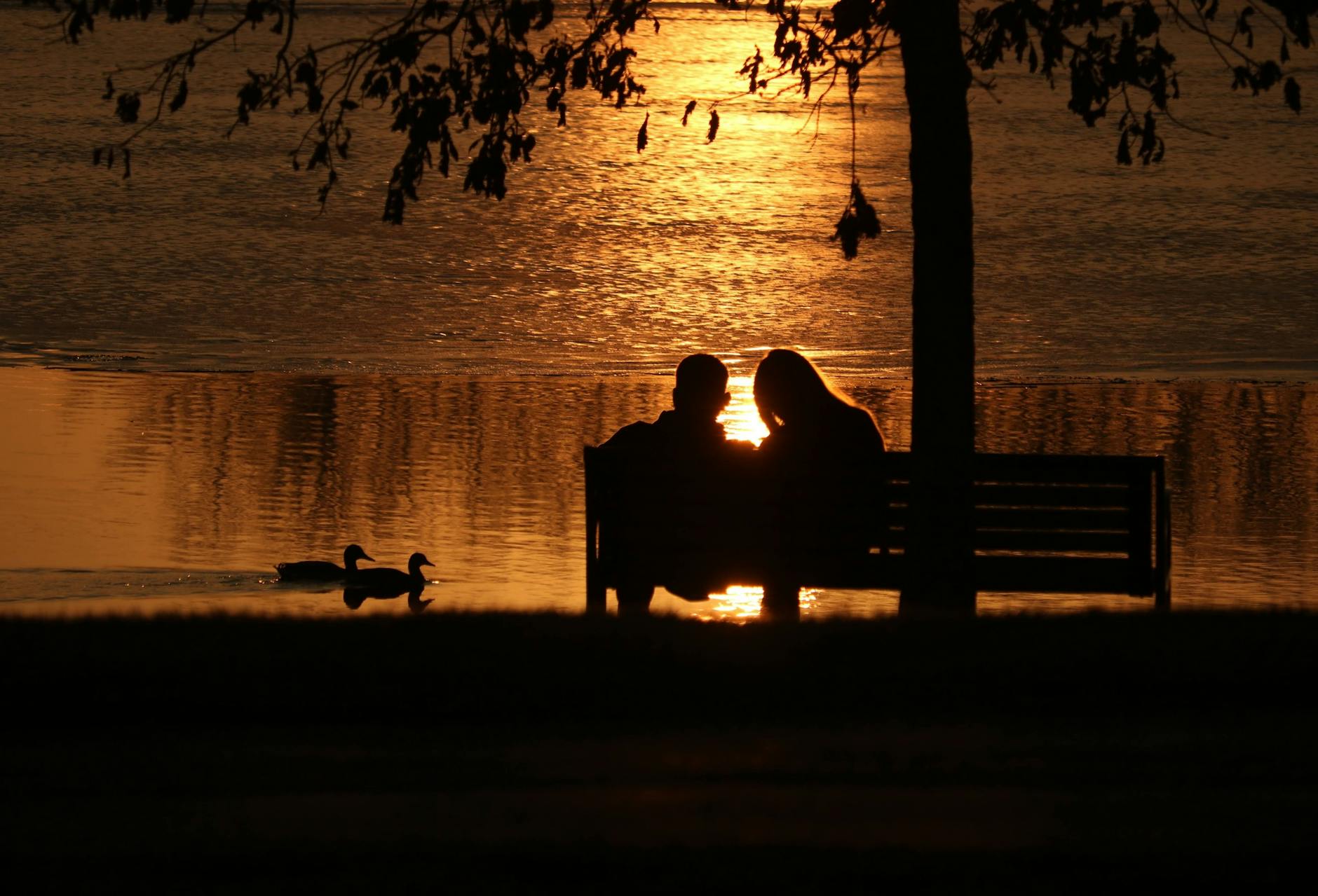 Park evening in Viborg